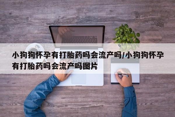 网上打胎药专卖微信小狗狗怀孕有打胎药吗会流产吗/小狗狗怀孕有打胎药吗会流产吗图片
