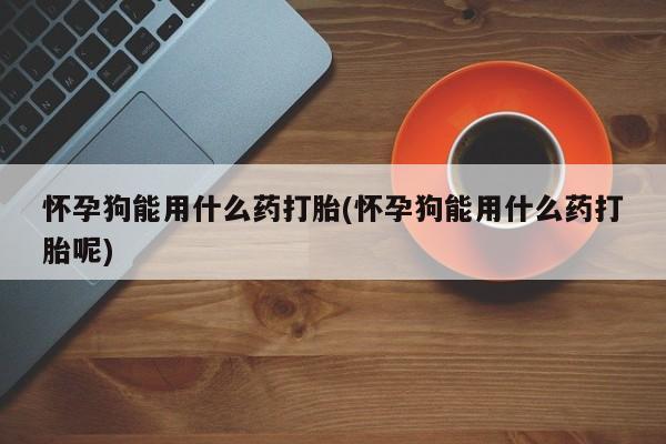 网上打胎药专卖微信怀孕狗能用什么药打胎(怀孕狗能用什么药打胎呢)